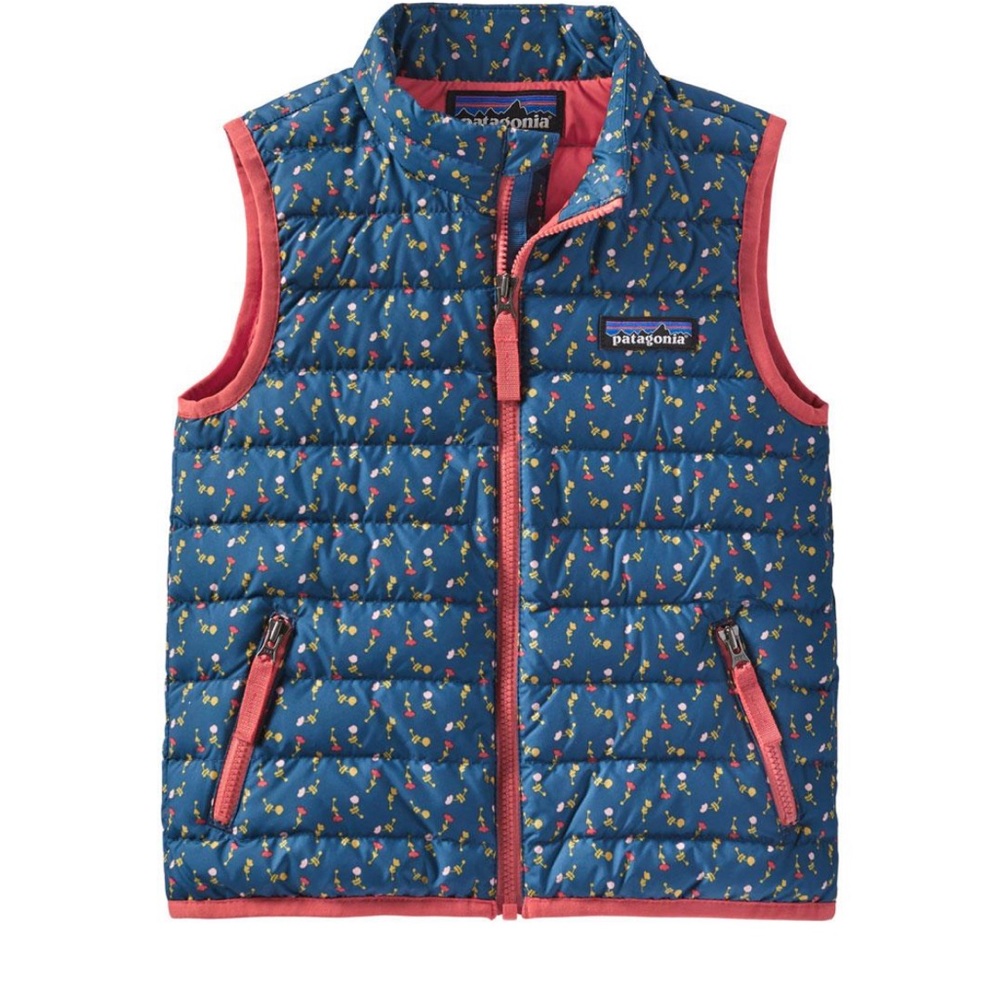 Patagonia Down Sweater Vest